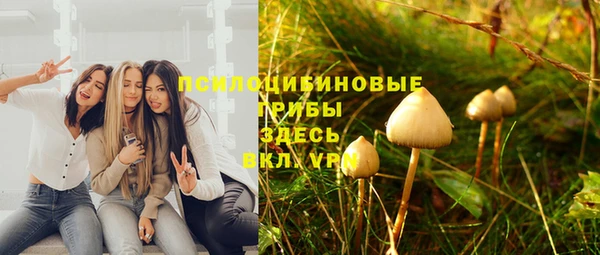 СК Алексеевка